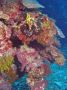 AmbergrisCaye05 - 023